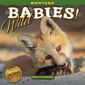 2024 Montana Wild Babies Mini Calendar align=