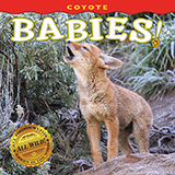 Coyote Babies! align=
