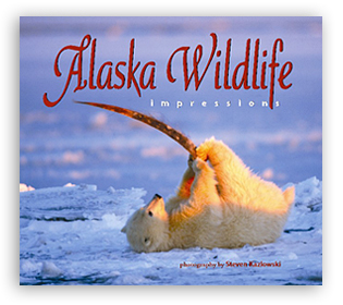 Alaska Wildlife Impressions align=