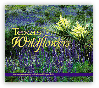 Texas Wildflowers align=