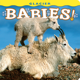 Glacier Babies align=