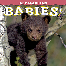 Appalachian Babies! align=