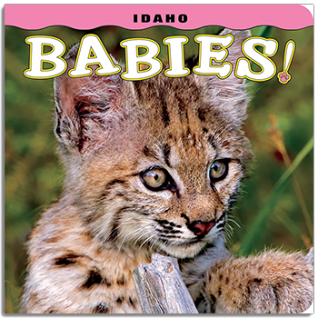 Idaho Babies! align=