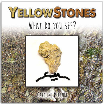 Yellow Stones align=