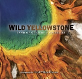 Wild Yellowstone align=