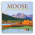 Moose of Yellowstone and Grand Teton
