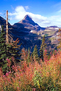 namethatpeak.jpg
